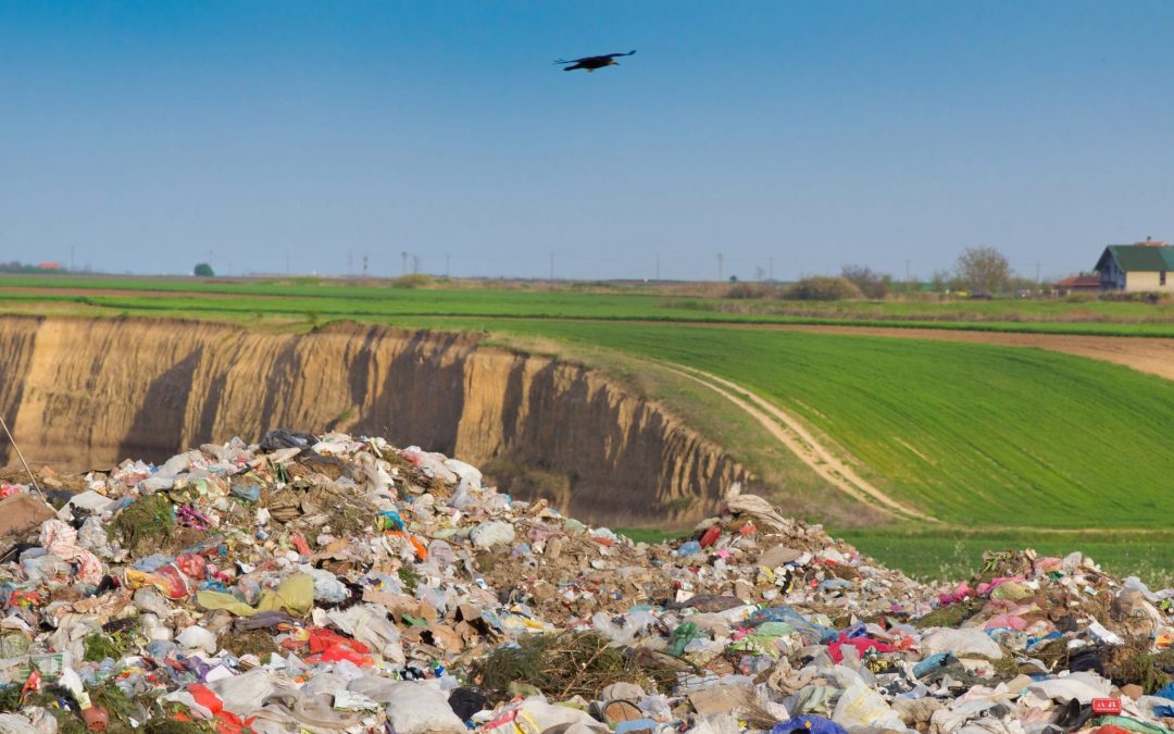 It’s A Landfill, Not A Compost Bin